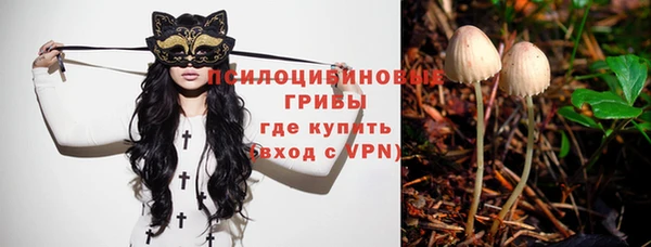 шишки Абаза
