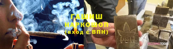 шишки Абаза