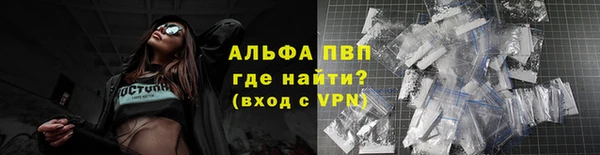 шишки Абаза