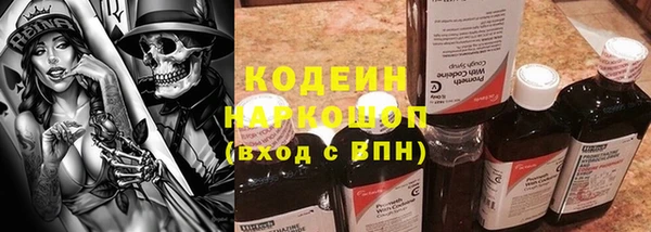 шишки Абаза