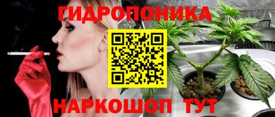 PSILOCYBIN Камышлов