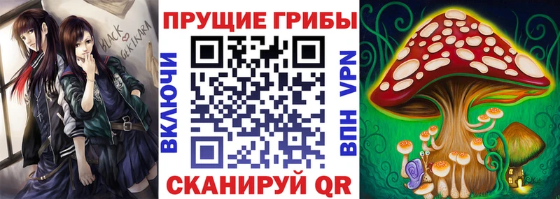 Галлюциногенные грибы мицелий  что такое   Россошь 
