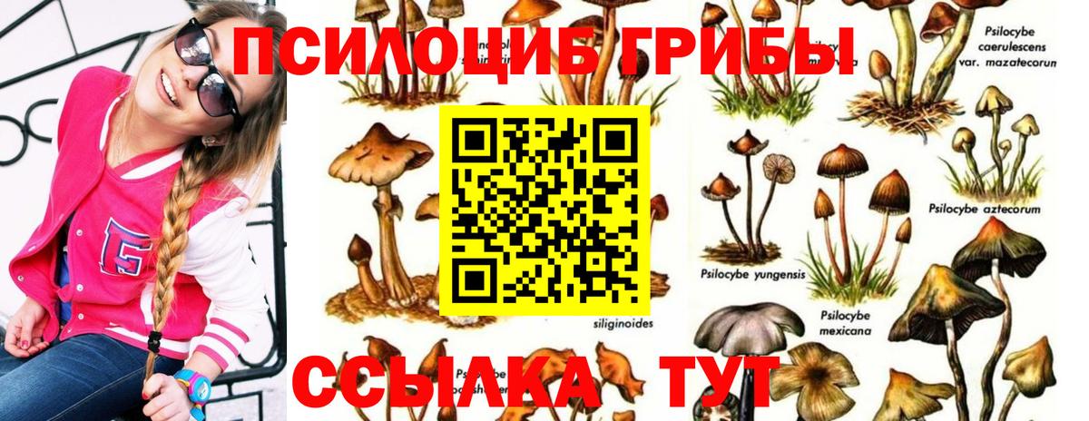Россошь  Галлюциногенные грибы мицелий  Вход с VPN  Галлюциногенные грибы Magic Shrooms 